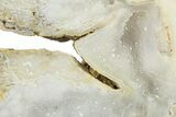 Agatized Fossil Coral Geode With Sparkly Quartz - Florida #271621-1